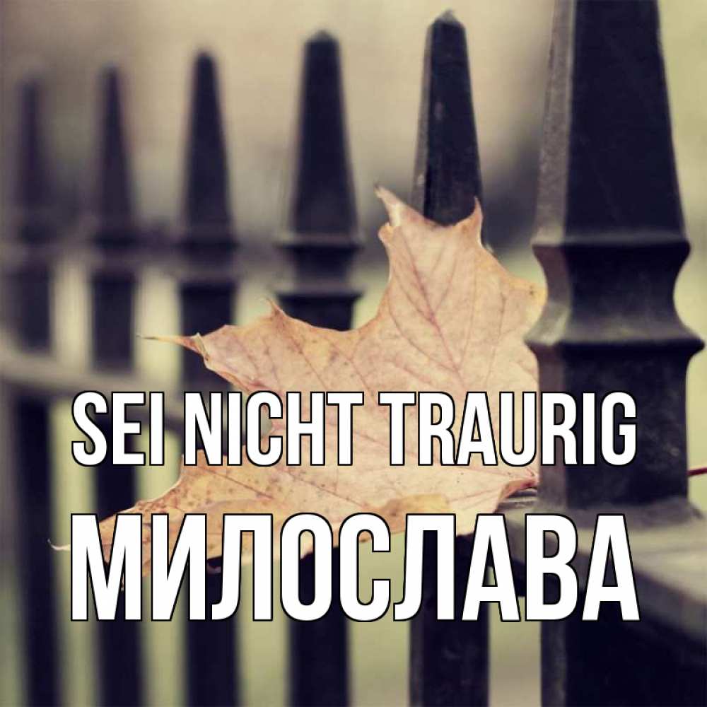 Открытка на каждый день с именем, Милослава Sei nicht traurig лист клена Прикольная открытка с пожеланием онлайн скачать бесплатно 