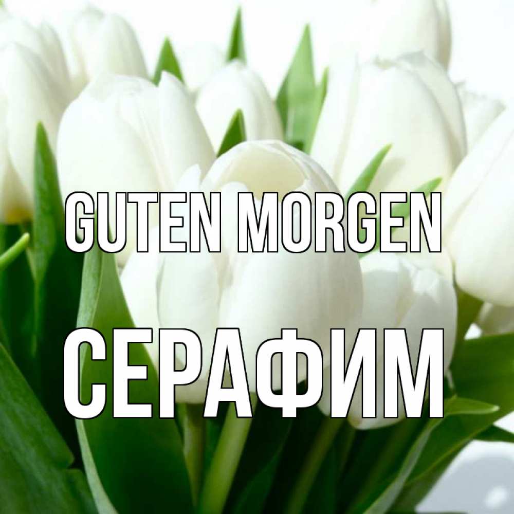 Открытка на каждый день с именем, Серафим Guten Morgen открытки на каждый день по именам Прикольная открытка с пожеланием онлайн скачать бесплатно 