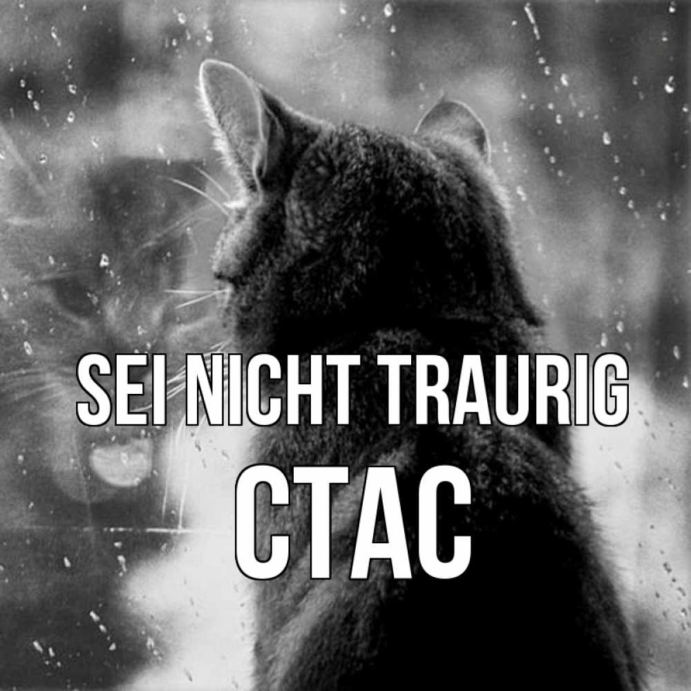 Открытка на каждый день с именем, Стас Sei nicht traurig отражение кота 1 Прикольная открытка с пожеланием онлайн скачать бесплатно 