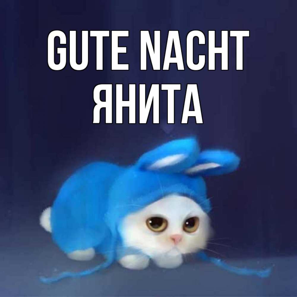 Открытка на каждый день с именем, Янита Gute Nacht кот в голубом костюме кролика с ушками Прикольная открытка с пожеланием онлайн скачать бесплатно 