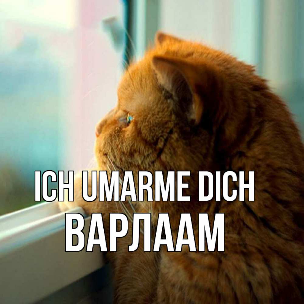 Открытка на каждый день с именем, Варлаам Ich umarme dich большой огромный рыжий котяра Прикольная открытка с пожеланием онлайн скачать бесплатно 