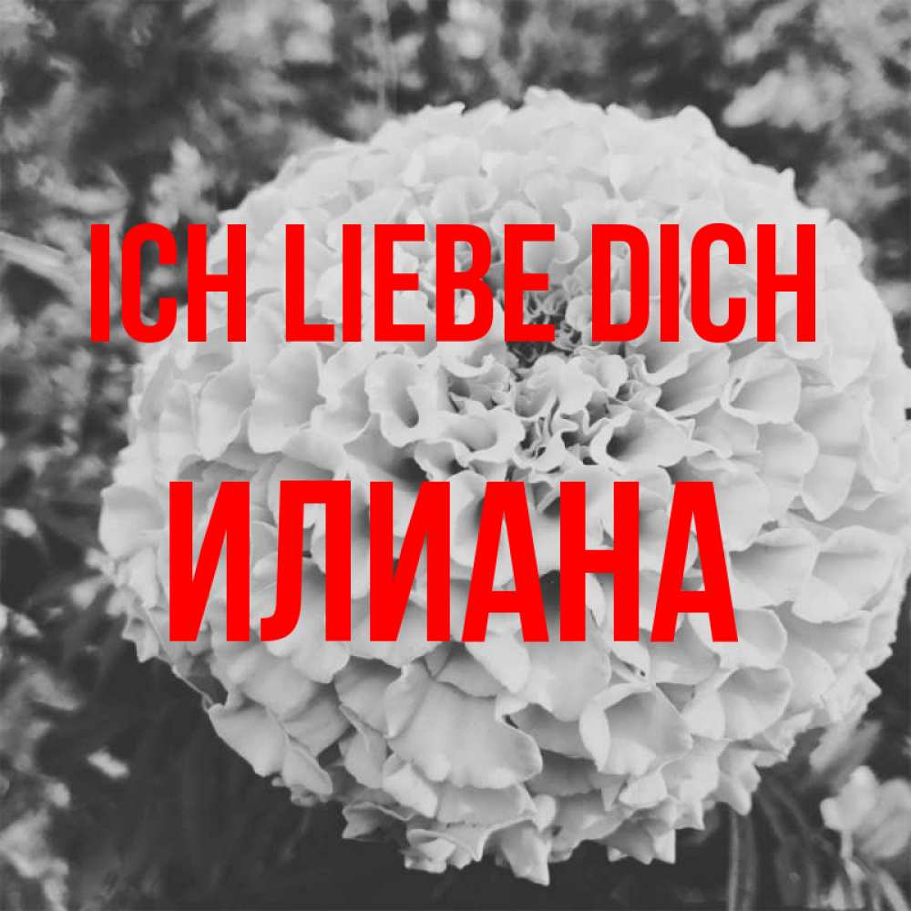 Открытка на каждый день с именем, Илиана Ich liebe dich подпись Прикольная открытка с пожеланием онлайн скачать бесплатно 