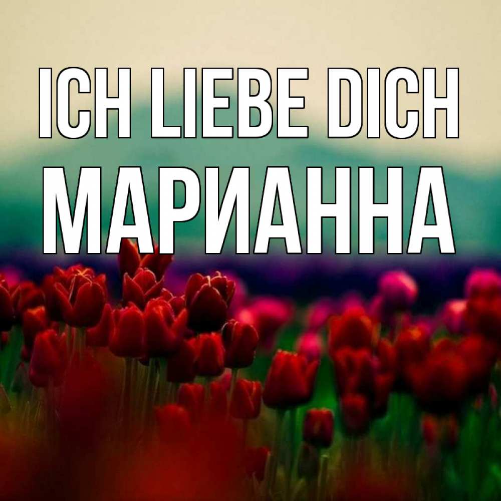 Открытка на каждый день с именем, Марианна Ich liebe dich тюльпаны 4 Прикольная открытка с пожеланием онлайн скачать бесплатно 
