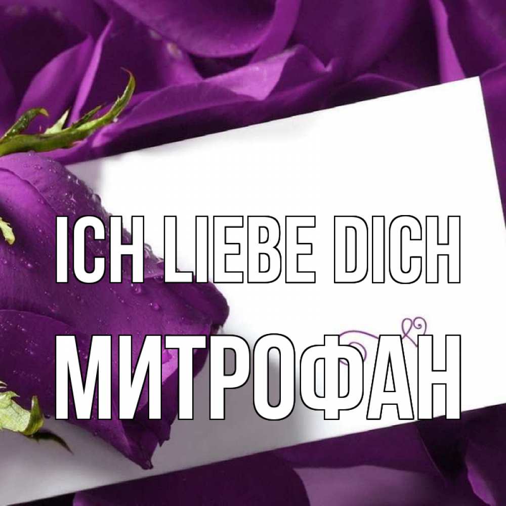 Открытка на каждый день с именем, Митрофан Ich liebe dich роза Прикольная открытка с пожеланием онлайн скачать бесплатно 