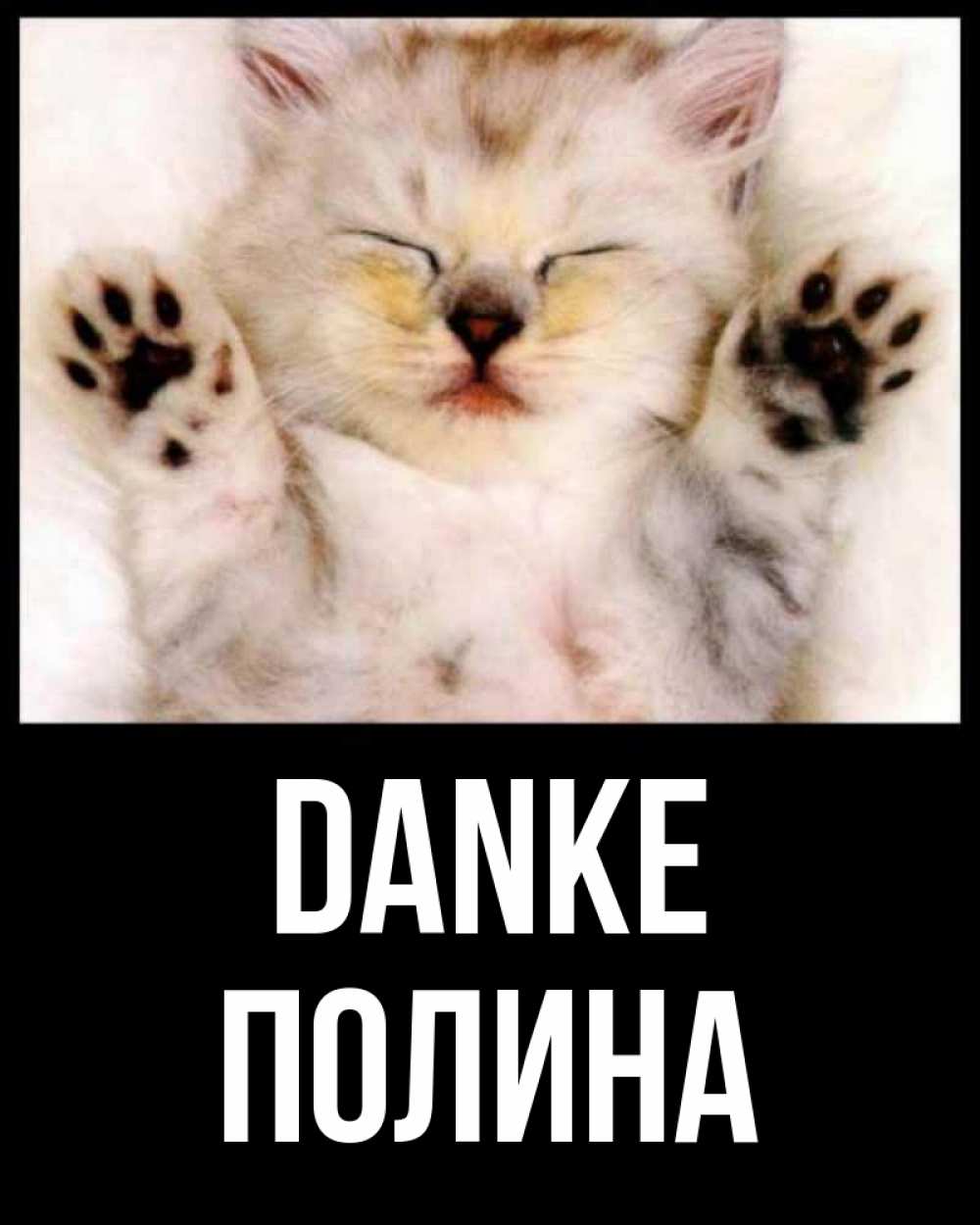 Открытка на каждый день с именем, Полина Danke маленький котенок Прикольная открытка с пожеланием онлайн скачать бесплатно 