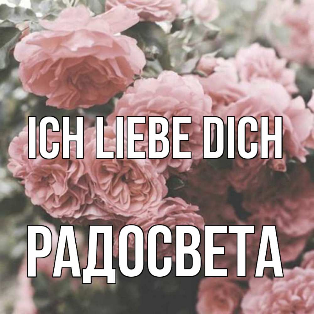 Открытка на каждый день с именем, Радосвета Ich liebe dich розы 3 Прикольная открытка с пожеланием онлайн скачать бесплатно 