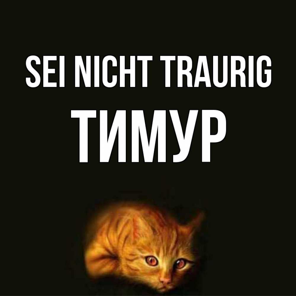 Открытка на каждый день с именем, Тимур Sei nicht traurig лежащий кот в темноте Прикольная открытка с пожеланием онлайн скачать бесплатно 