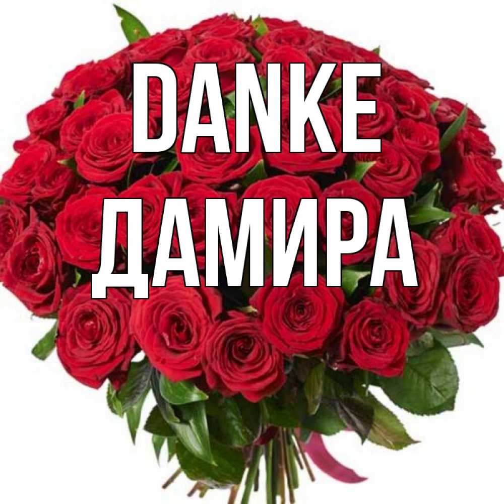 Открытка на каждый день с именем, Дамира Danke букет красных роз Прикольная открытка с пожеланием онлайн скачать бесплатно 