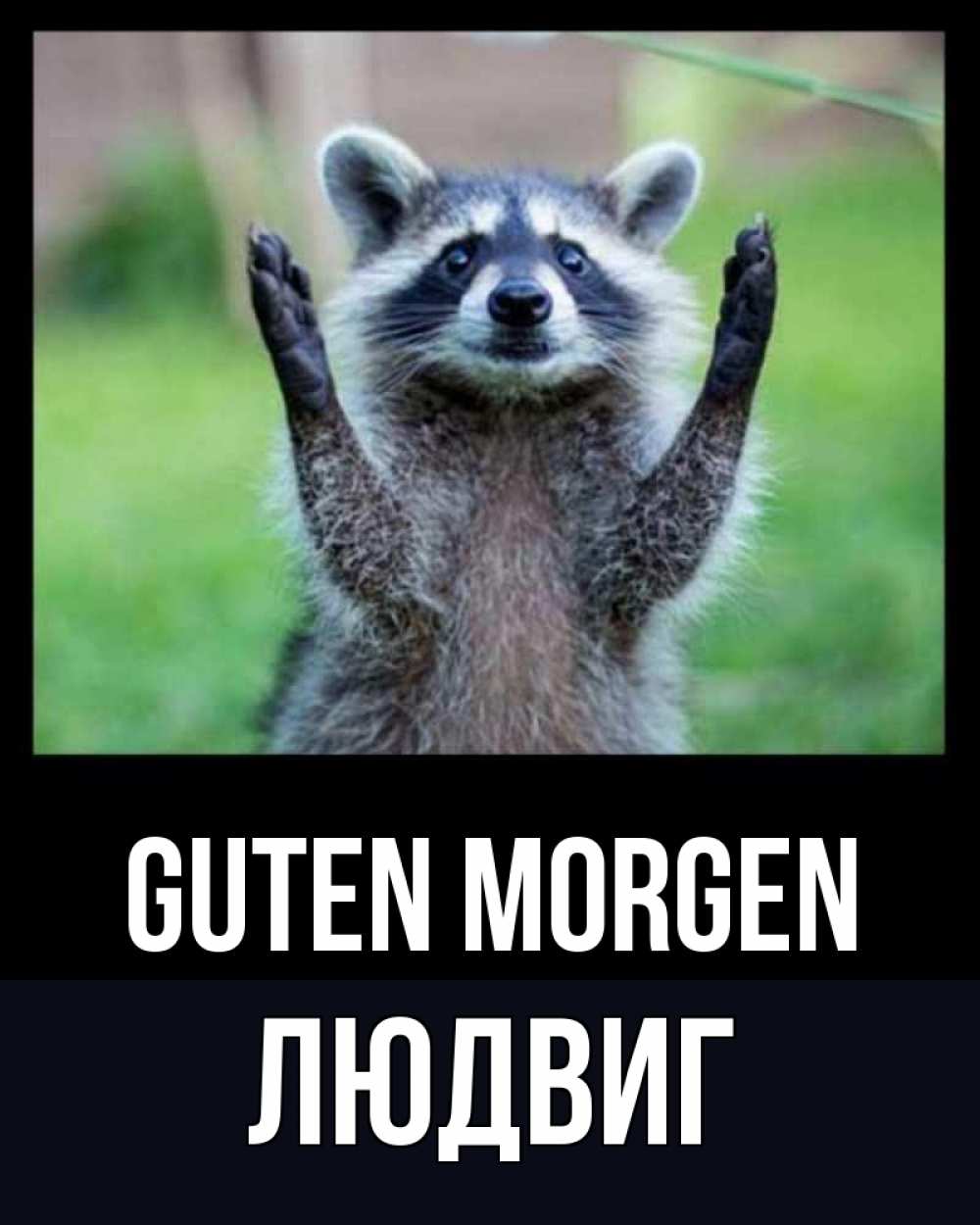 Открытка на каждый день с именем, Людвиг Guten Morgen хорошее настроение утречком Прикольная открытка с пожеланием онлайн скачать бесплатно 