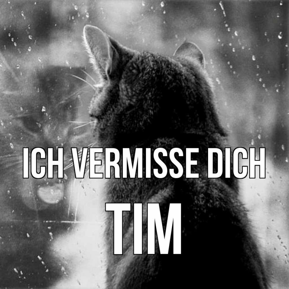 Открытка на каждый день с именем, Tim Ich vermisse dich скорее ко мне приходи 1 Прикольная открытка с пожеланием онлайн скачать бесплатно 
