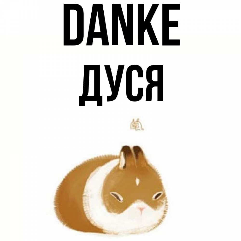 Открытка на каждый день с именем, Дуся Danke коричнево белый домашний питомец Прикольная открытка с пожеланием онлайн скачать бесплатно 