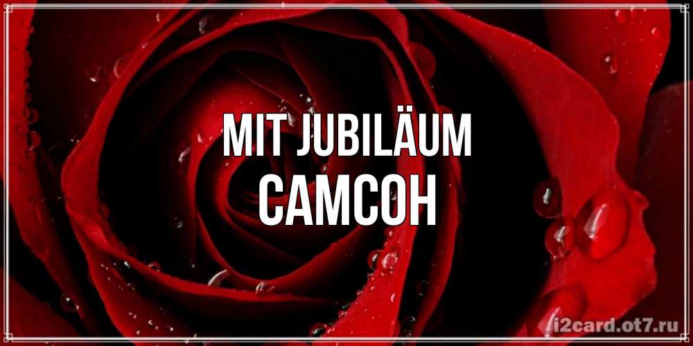 Открытка на каждый день с именем, Самсон Mit Jubiläum крупная бордовая роза Прикольная открытка с пожеланием онлайн скачать бесплатно 