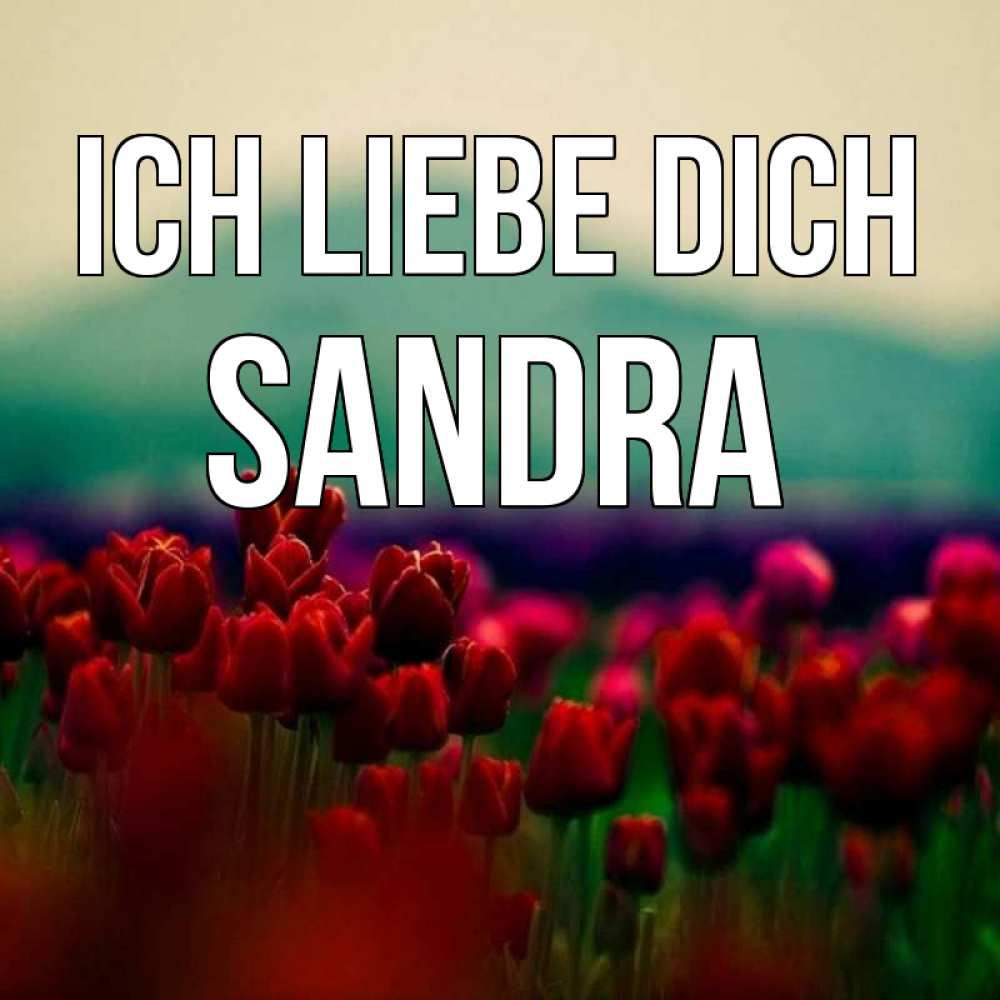 Открытка на каждый день с именем, Sandra Ich liebe dich тюльпаны 4 Прикольная открытка с пожеланием онлайн скачать бесплатно 