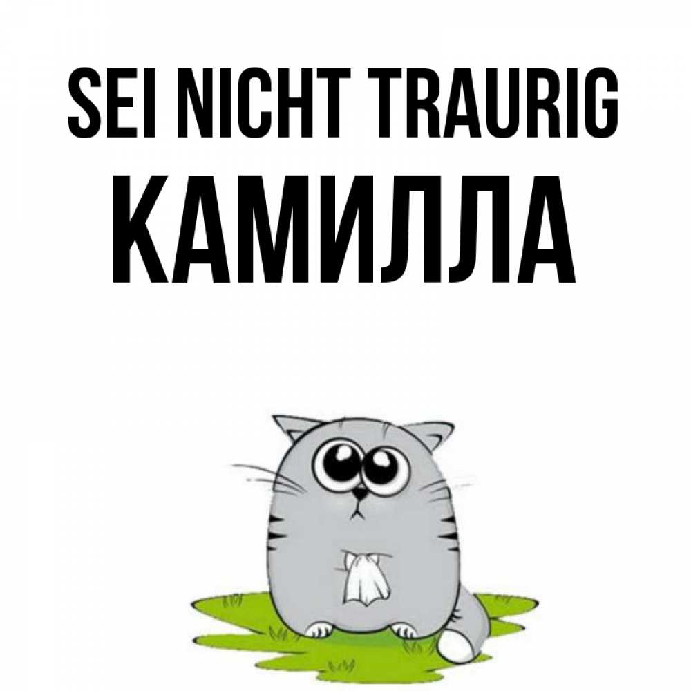 Открытка на каждый день с именем, Камилла Sei nicht traurig грустный котяра Прикольная открытка с пожеланием онлайн скачать бесплатно 