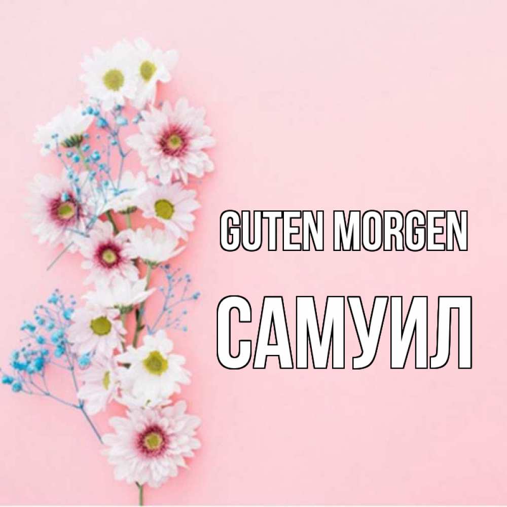 Открытка на каждый день с именем, Самуил Guten Morgen цветы с подписью Прикольная открытка с пожеланием онлайн скачать бесплатно 