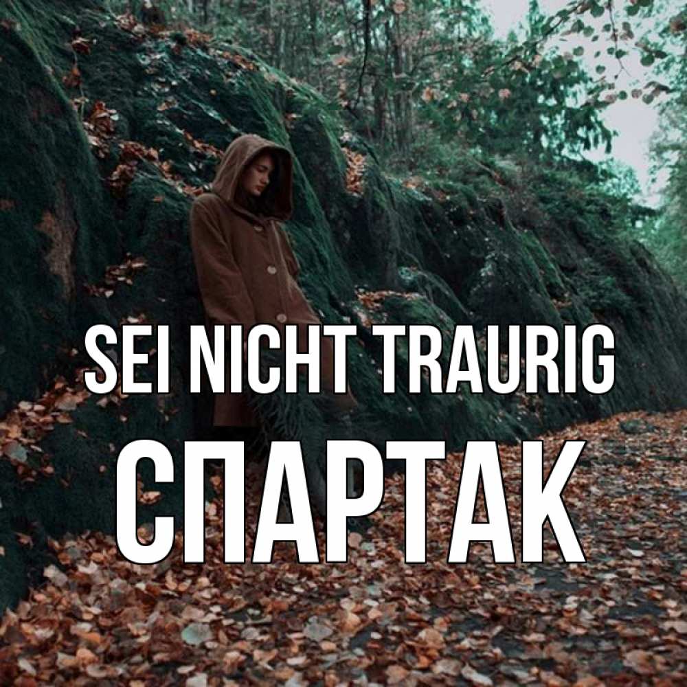 Открытка на каждый день с именем, Спартак Sei nicht traurig осенний лес Прикольная открытка с пожеланием онлайн скачать бесплатно 