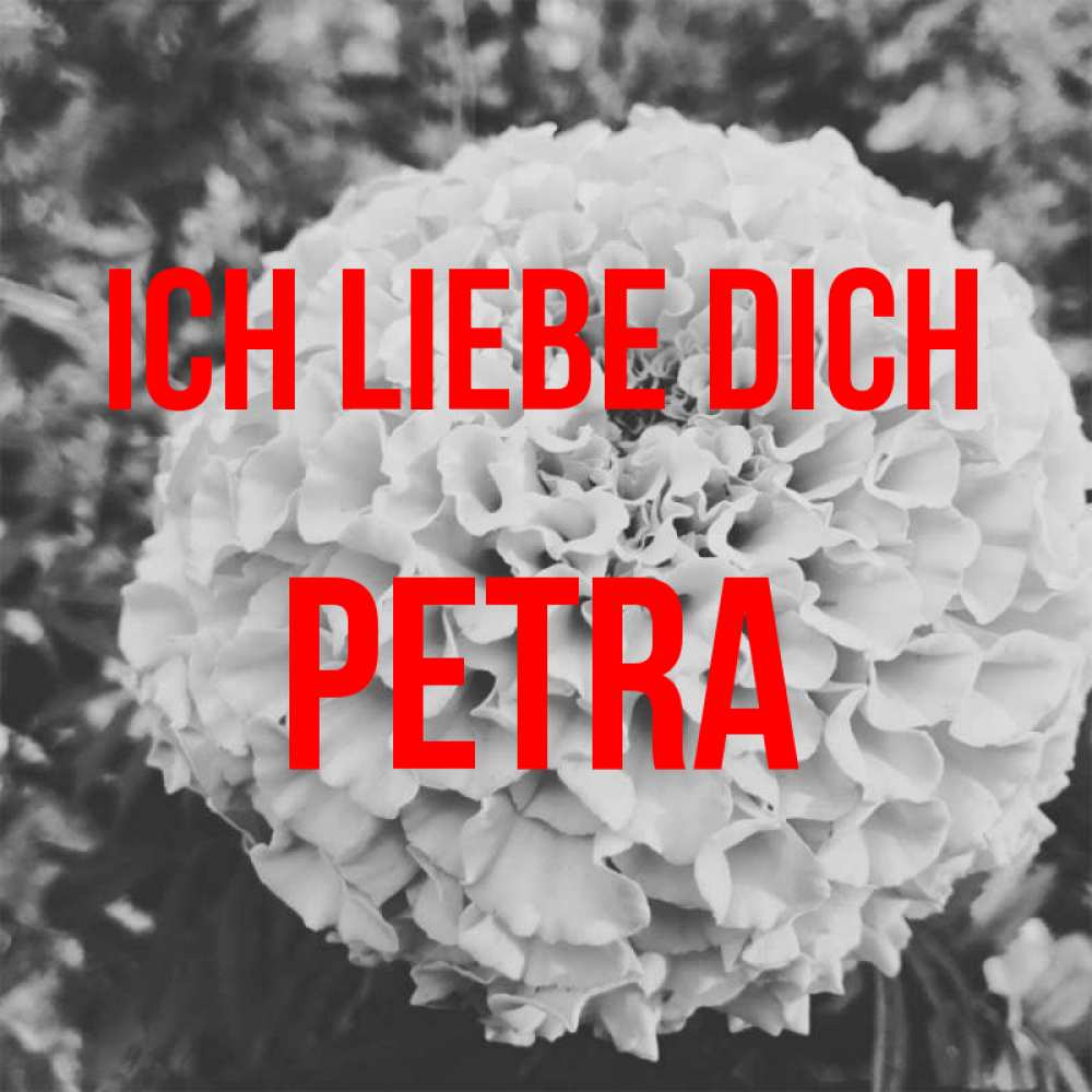 Открытка на каждый день с именем, Petra Ich liebe dich подпись Прикольная открытка с пожеланием онлайн скачать бесплатно 