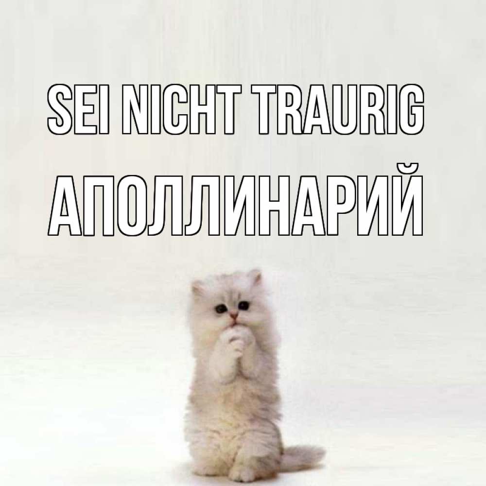 Открытка на каждый день с именем, Аполлинарий Sei nicht traurig грустный кот Прикольная открытка с пожеланием онлайн скачать бесплатно 