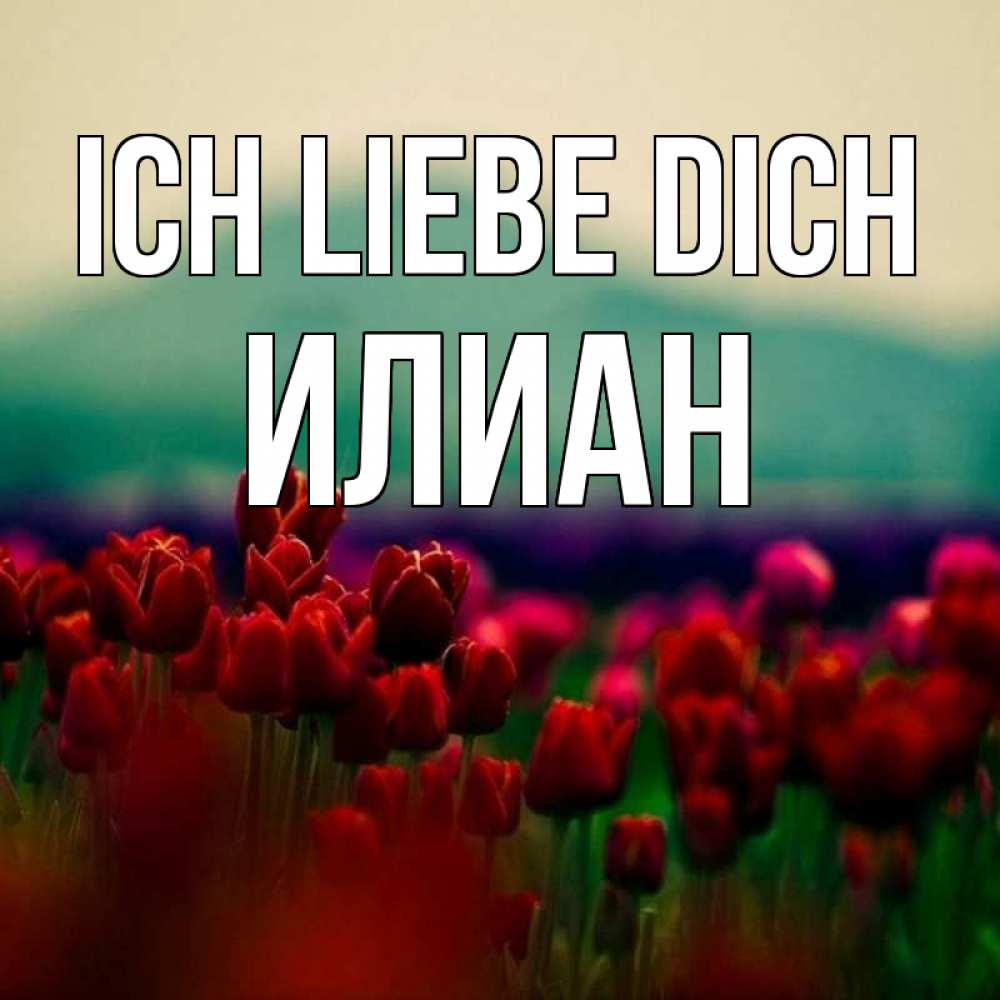 Открытка на каждый день с именем, Илиан Ich liebe dich тюльпаны 4 Прикольная открытка с пожеланием онлайн скачать бесплатно 