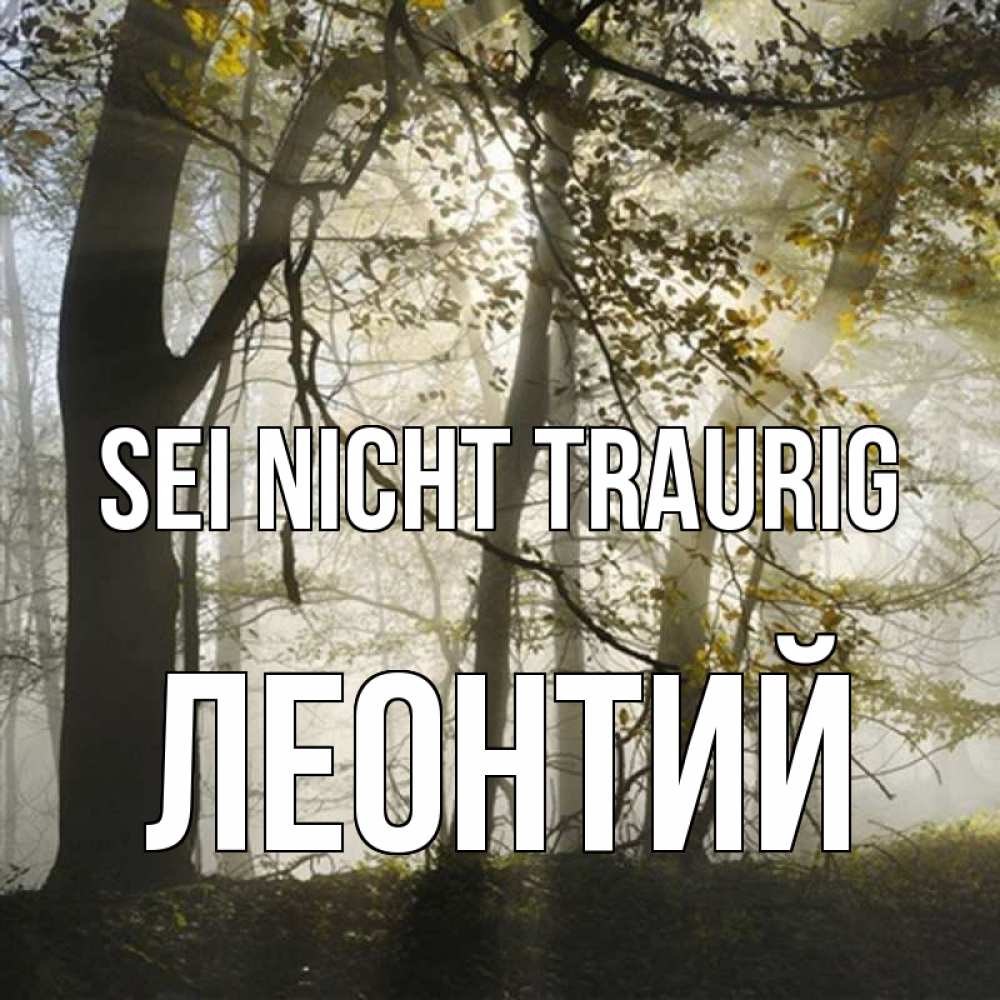 Открытка на каждый день с именем, Леонтий Sei nicht traurig лес и свет Прикольная открытка с пожеланием онлайн скачать бесплатно 
