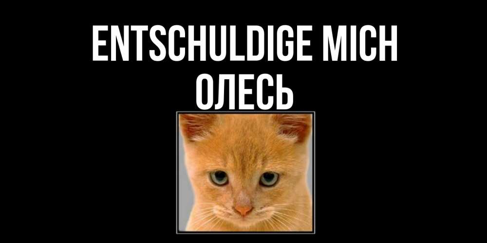Открытка на каждый день с именем, Олесь Entschuldige mich рыжий грустный кот просит прощения Прикольная открытка с пожеланием онлайн скачать бесплатно 