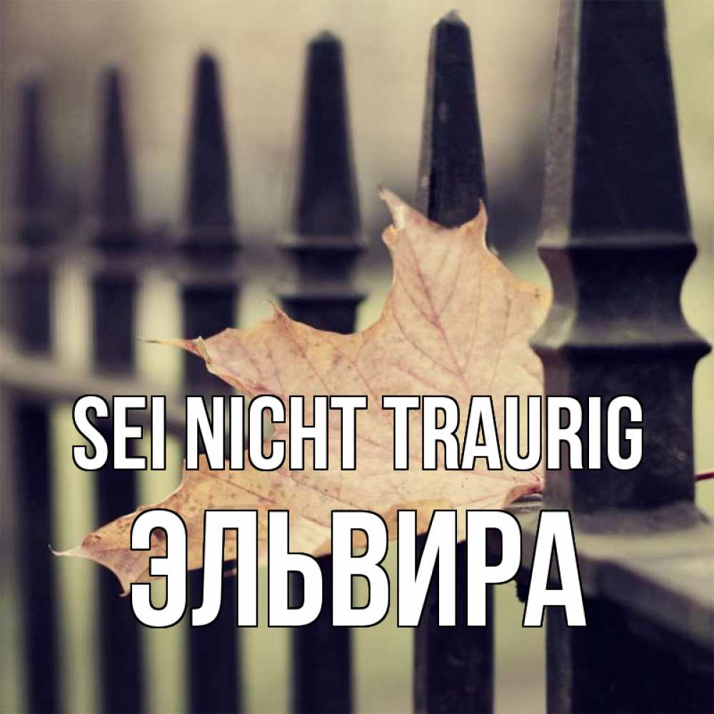 Открытка на каждый день с именем, Эльвира Sei nicht traurig лист клена Прикольная открытка с пожеланием онлайн скачать бесплатно 