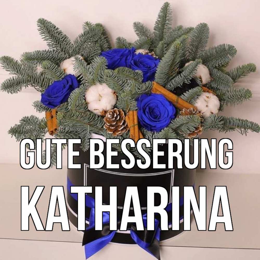 Открытка на каждый день с именем, Katharina Gute Besserung короче кто то загрузил эти шишки Прикольная открытка с пожеланием онлайн скачать бесплатно 