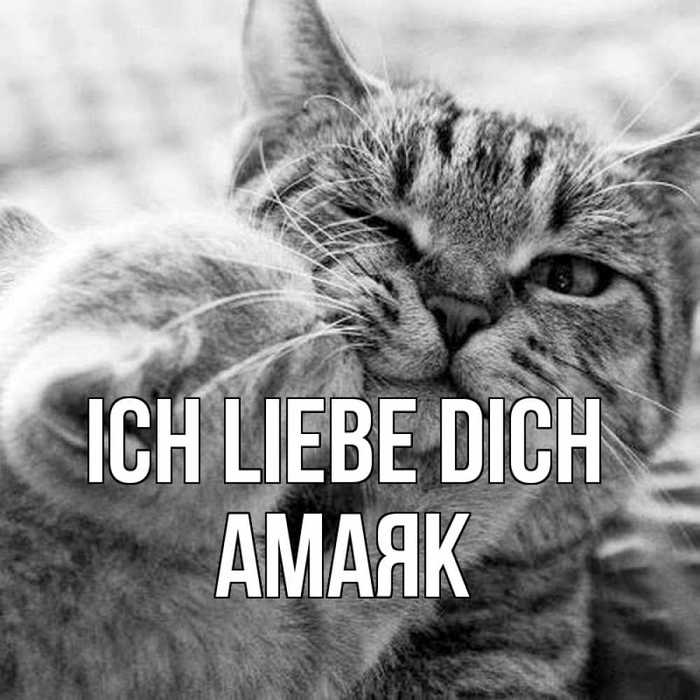 Открытка на каждый день с именем, Амаяк Ich liebe dich коты Прикольная открытка с пожеланием онлайн скачать бесплатно 