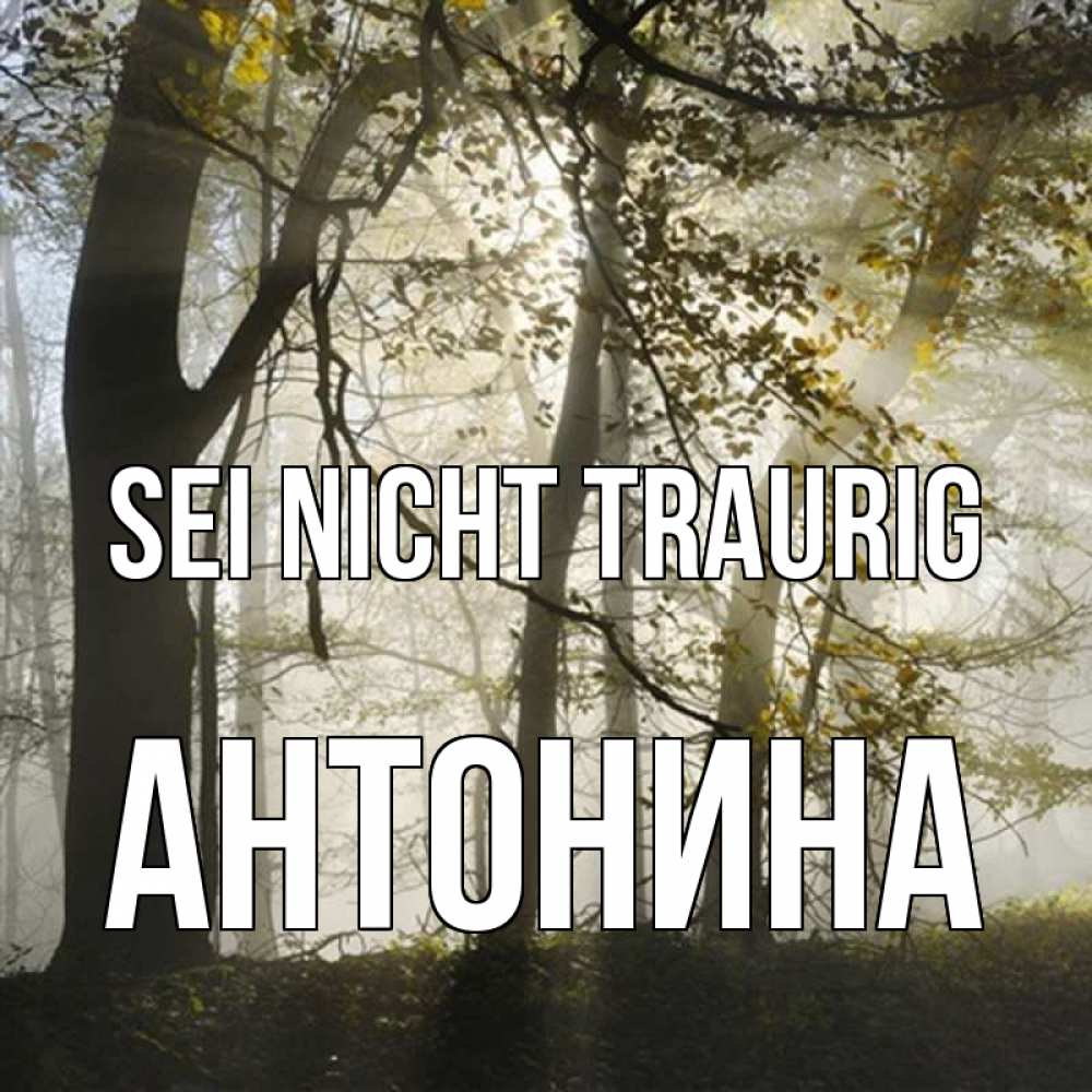 Открытка на каждый день с именем, Антонина Sei nicht traurig лес и свет Прикольная открытка с пожеланием онлайн скачать бесплатно 