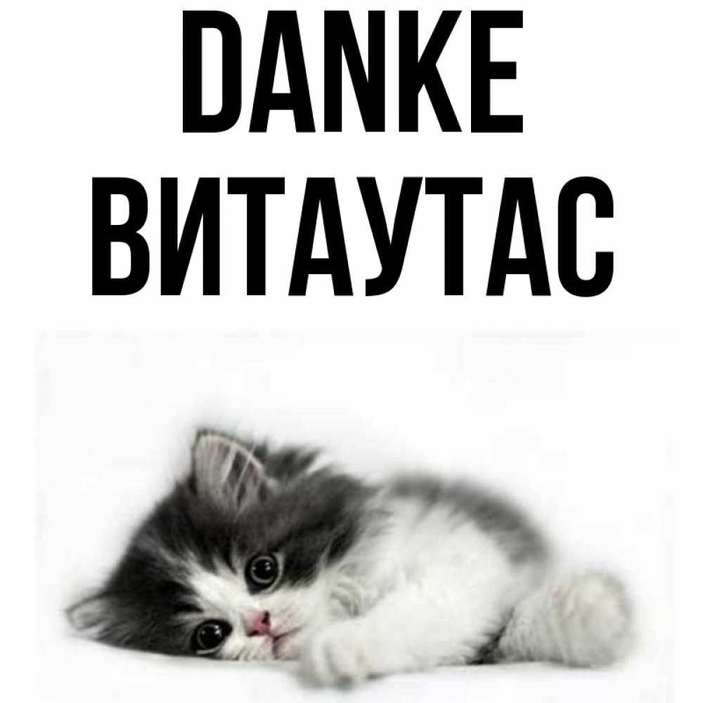 Открытка на каждый день с именем, Витаутас Danke черный и белый кот Прикольная открытка с пожеланием онлайн скачать бесплатно 