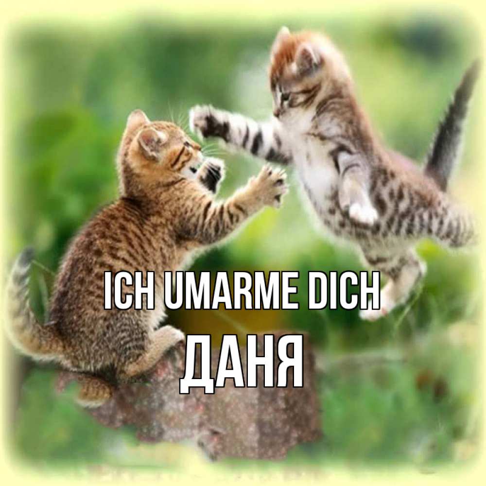 Открытка на каждый день с именем, Даня Ich umarme dich игры котят Прикольная открытка с пожеланием онлайн скачать бесплатно 