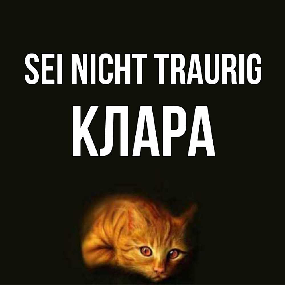 Открытка на каждый день с именем, Клара Sei nicht traurig лежащий кот в темноте Прикольная открытка с пожеланием онлайн скачать бесплатно 