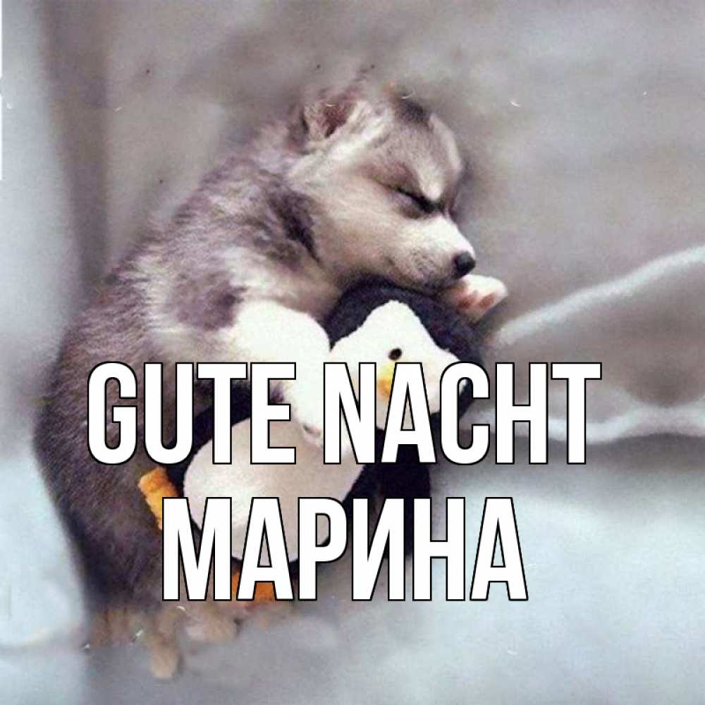 Открытка на каждый день с именем, Марина Gute Nacht обнимашки щенка и пингвина Прикольная открытка с пожеланием онлайн скачать бесплатно 