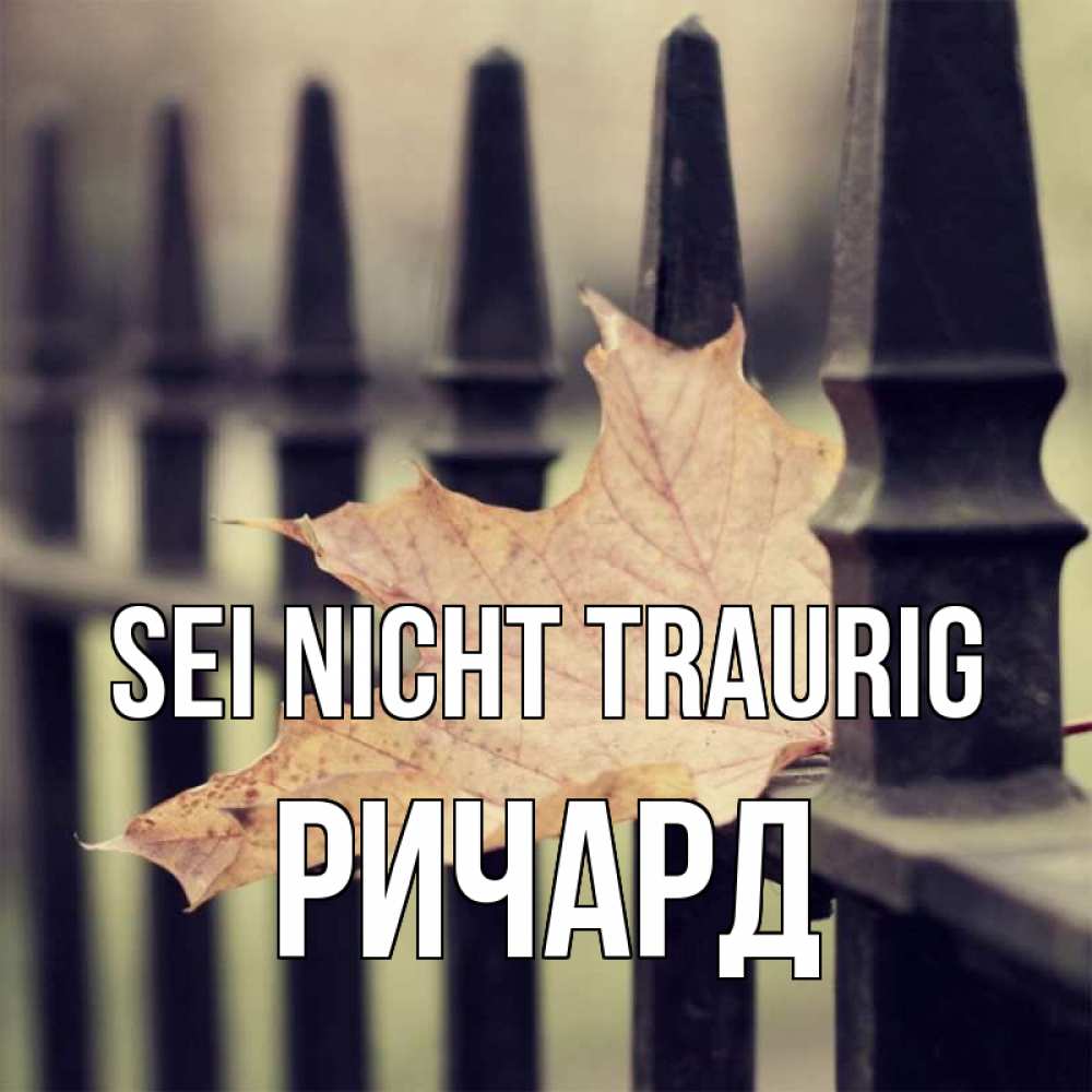 Открытка на каждый день с именем, Ричард Sei nicht traurig лист клена Прикольная открытка с пожеланием онлайн скачать бесплатно 