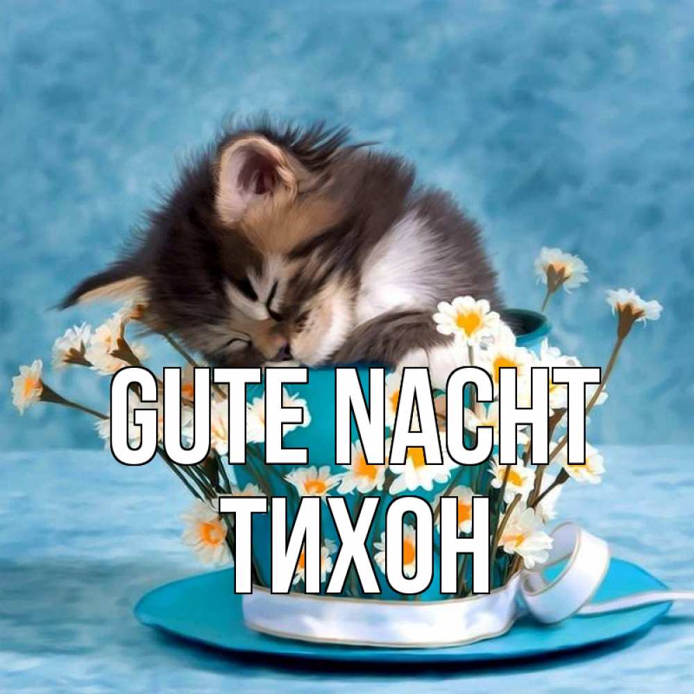 Открытка на каждый день с именем, Тихон Gute Nacht котенок спит в кружке с блюдцем Прикольная открытка с пожеланием онлайн скачать бесплатно 