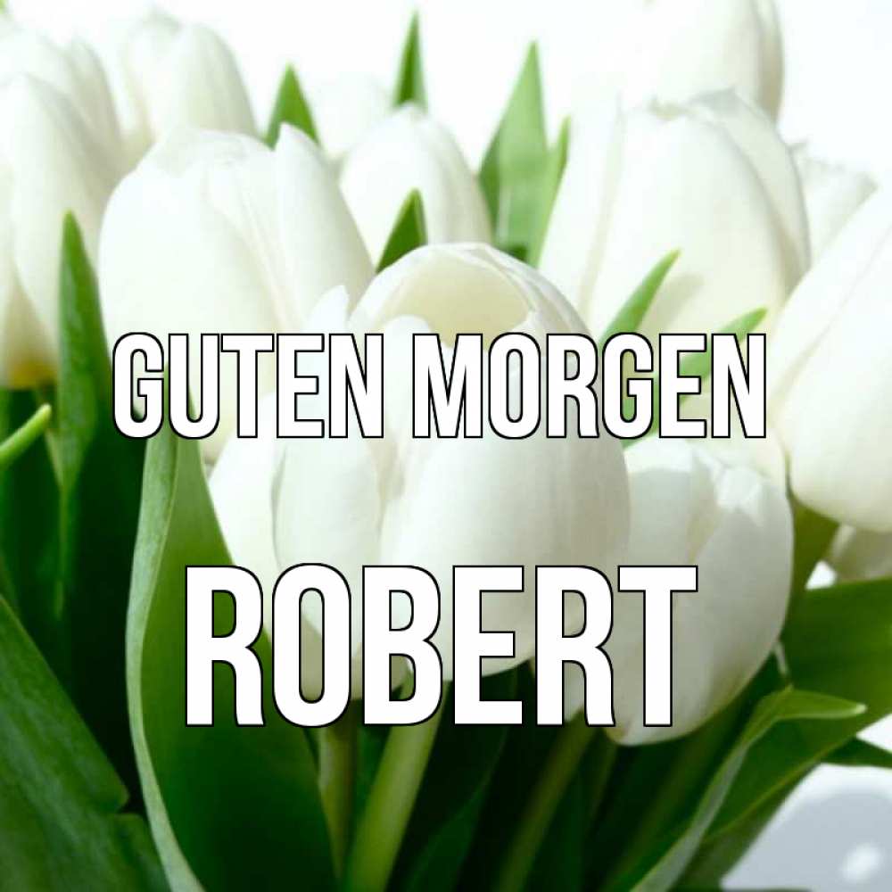 Открытка на каждый день с именем, Robert Guten Morgen открытки на каждый день по именам Прикольная открытка с пожеланием онлайн скачать бесплатно 