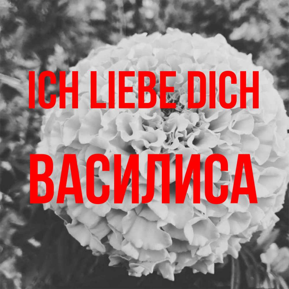 Открытка на каждый день с именем, Василиса Ich liebe dich подпись Прикольная открытка с пожеланием онлайн скачать бесплатно 