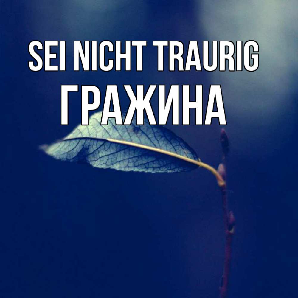 Открытка на каждый день с именем, Гражина Sei nicht traurig растение Прикольная открытка с пожеланием онлайн скачать бесплатно 