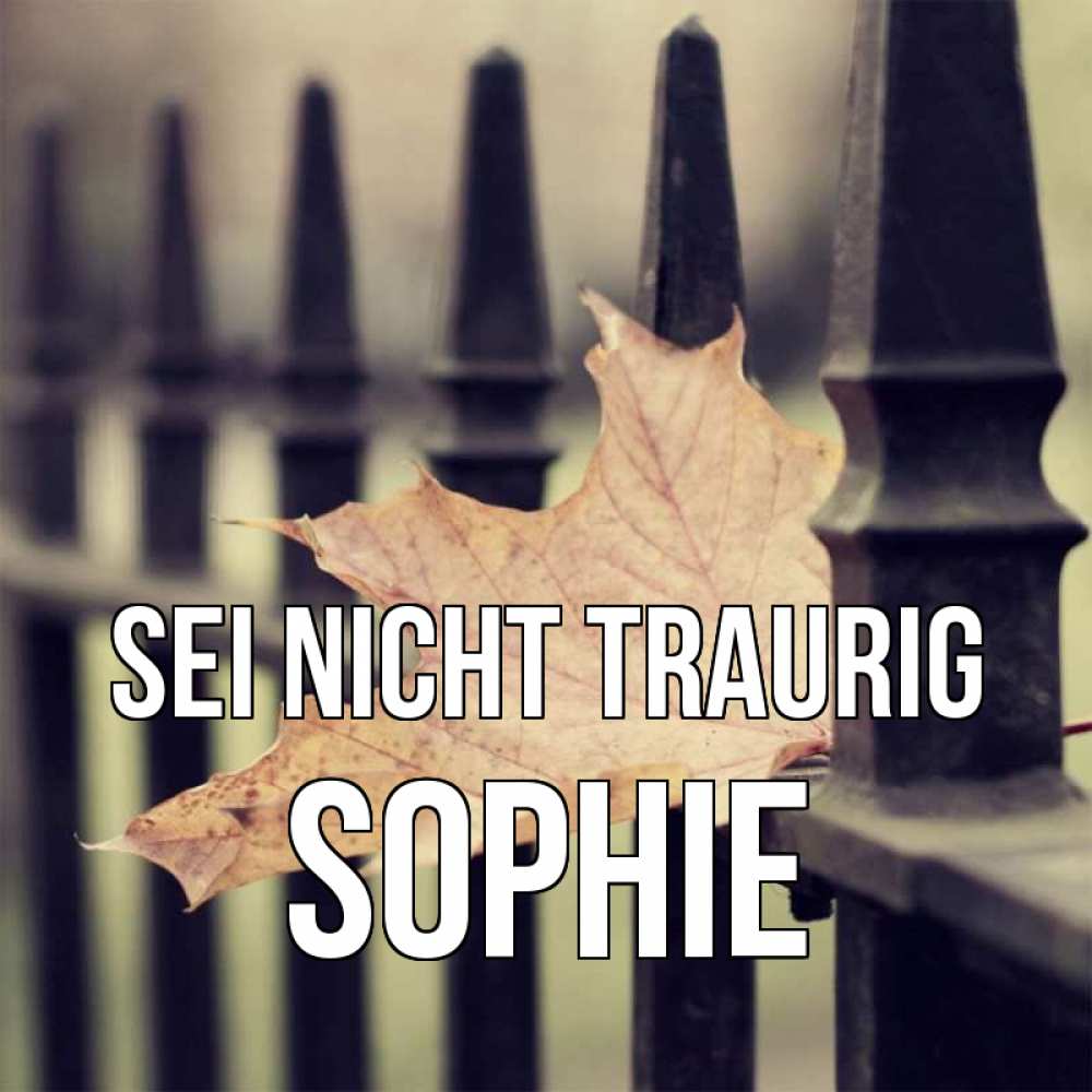 Открытка на каждый день с именем, Sophie Sei nicht traurig лист клена Прикольная открытка с пожеланием онлайн скачать бесплатно 