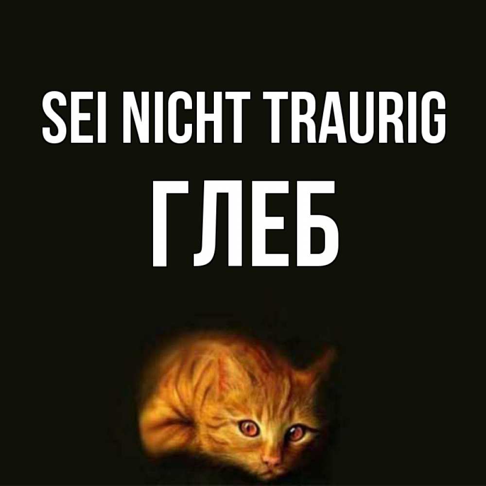 Открытка на каждый день с именем, Глеб Sei nicht traurig лежащий кот в темноте Прикольная открытка с пожеланием онлайн скачать бесплатно 