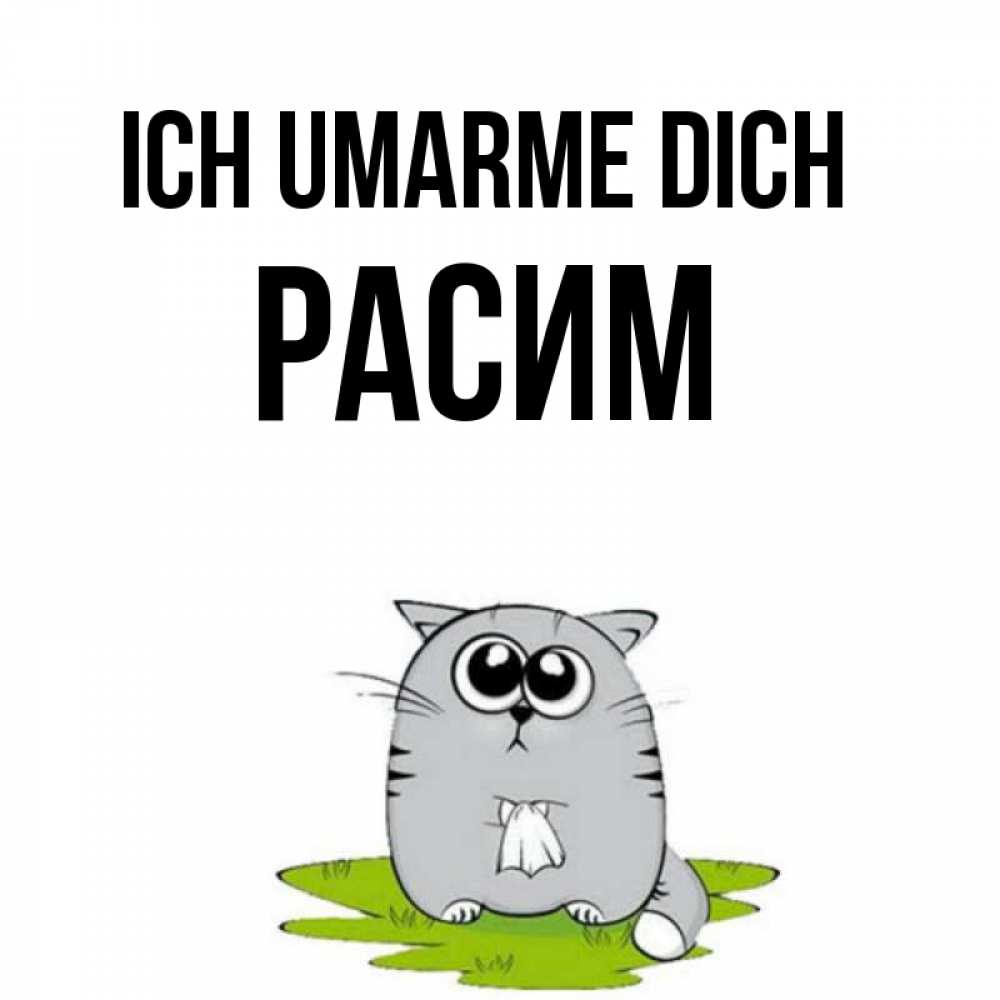 Открытка на каждый день с именем, Расим Ich umarme dich котик теребит платочек сидя на травке Прикольная открытка с пожеланием онлайн скачать бесплатно 