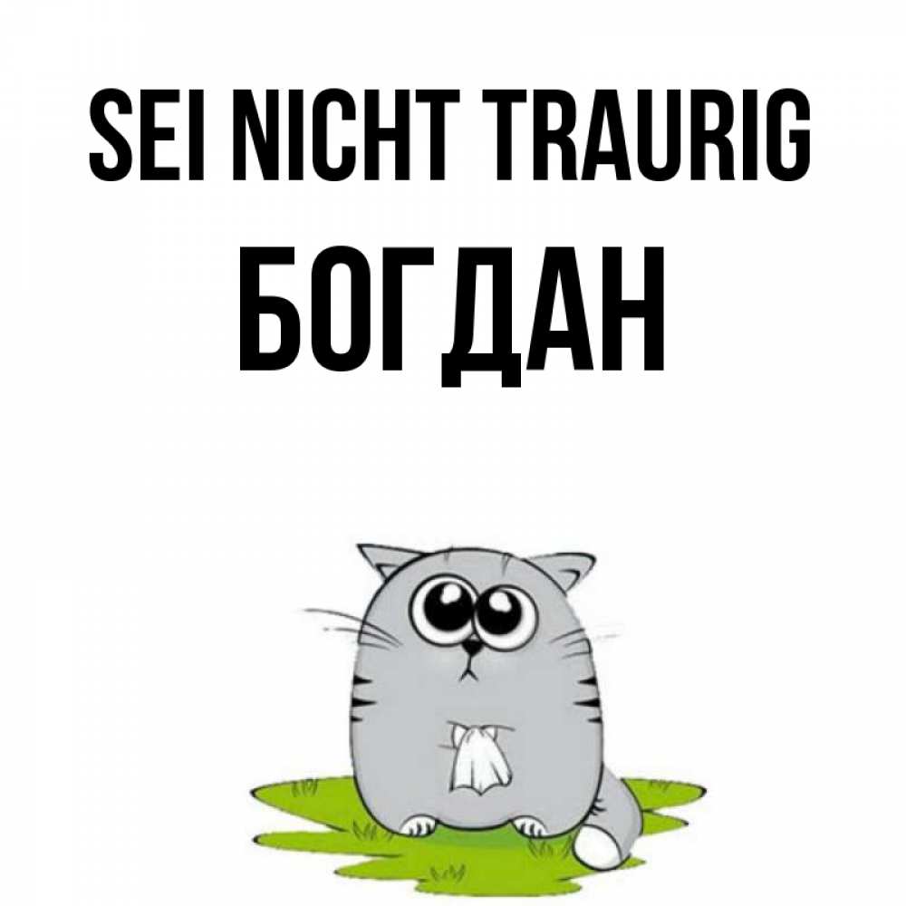 Открытка на каждый день с именем, Богдан Sei nicht traurig грустный котяра Прикольная открытка с пожеланием онлайн скачать бесплатно 