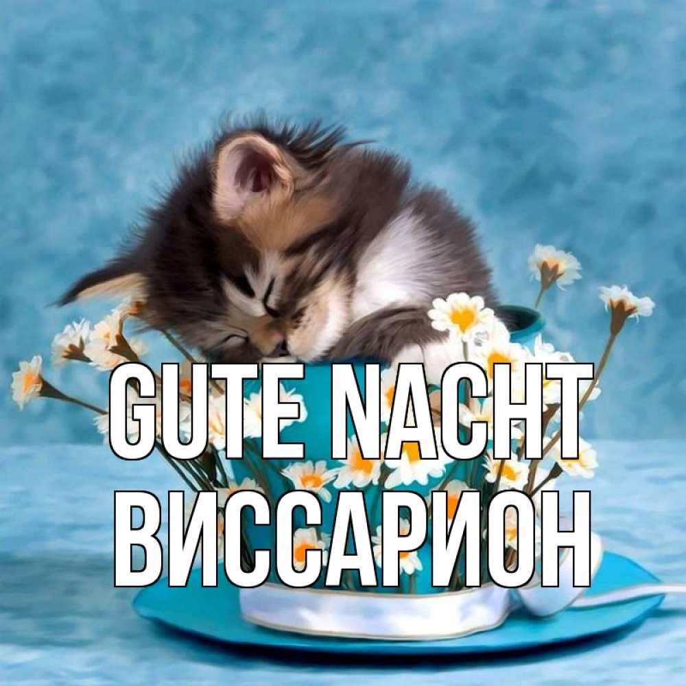 Открытка на каждый день с именем, Виссарион Gute Nacht котенок спит в кружке с блюдцем Прикольная открытка с пожеланием онлайн скачать бесплатно 
