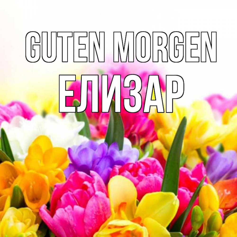 Открытка на каждый день с именем, Елизар Guten Morgen создать открытку со свое подписью Прикольная открытка с пожеланием онлайн скачать бесплатно 