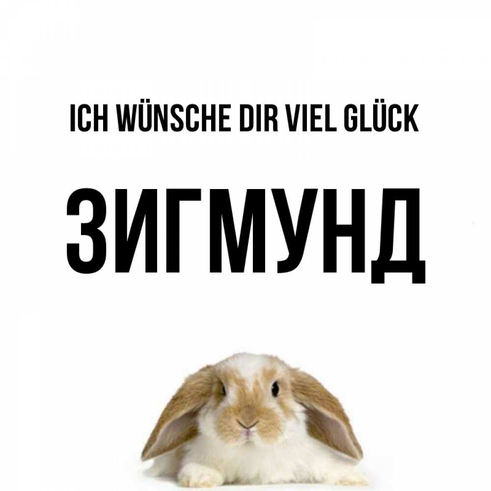 Открытка на каждый день с именем, Зигмунд Ich wünsche dir viel Glück открытки с произвольным текстом который можно вставить в открытку и создать ее самостоятельно бесплатно онлайн Прикольная открытка с пожеланием онлайн скачать бесплатно 