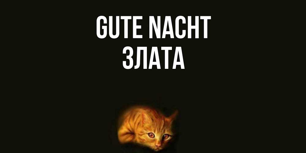 Открытка на каждый день с именем, Злата Gute Nacht кот Прикольная открытка с пожеланием онлайн скачать бесплатно 