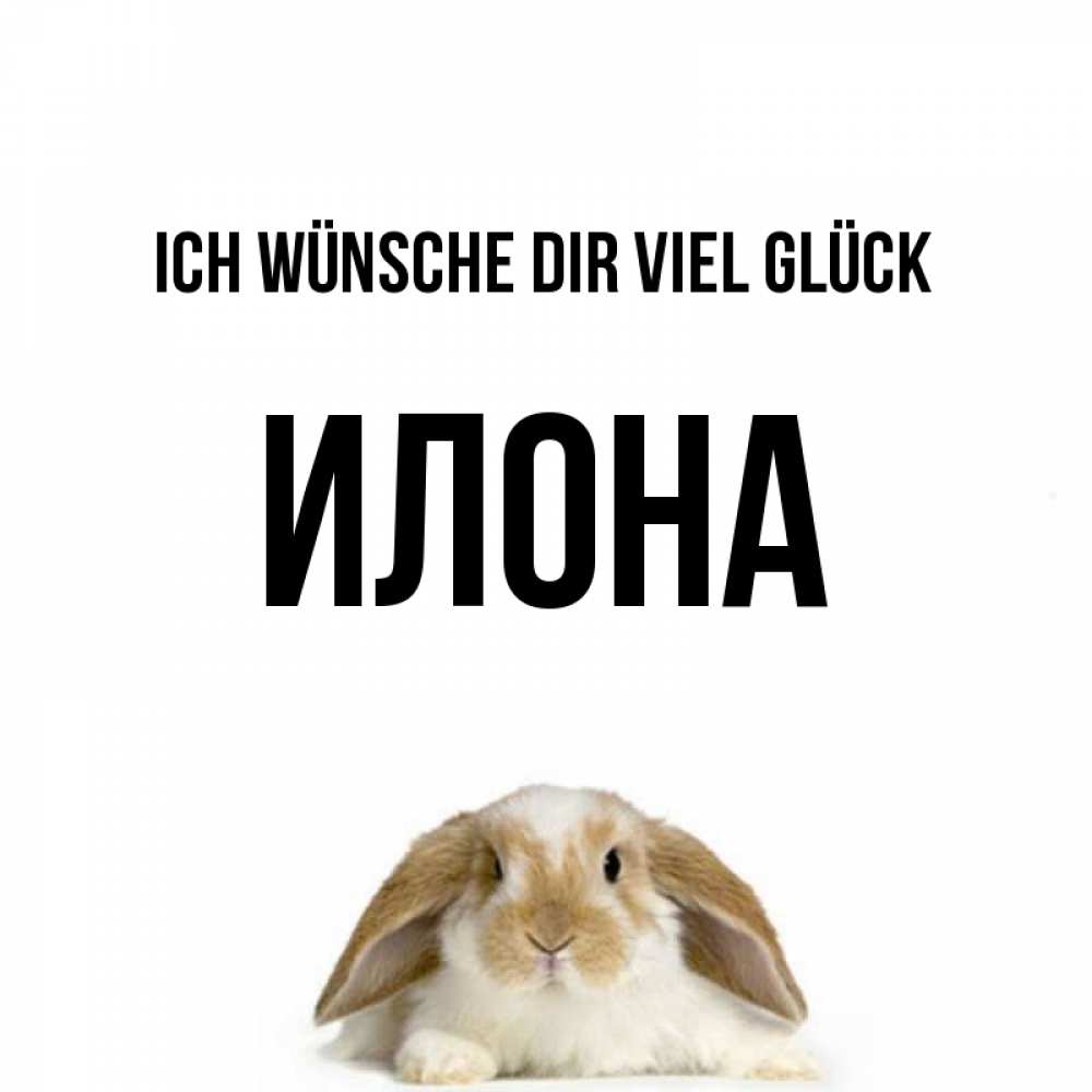 Открытка на каждый день с именем, Илона Ich wünsche dir viel Glück открытки с произвольным текстом который можно вставить в открытку и создать ее самостоятельно бесплатно онлайн Прикольная открытка с пожеланием онлайн скачать бесплатно 