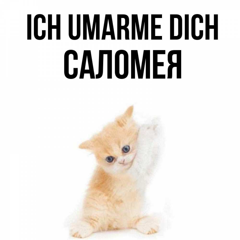 Открытка на каждый день с именем, Саломея Ich umarme dich я хочу очень скорее обнимаешек Прикольная открытка с пожеланием онлайн скачать бесплатно 