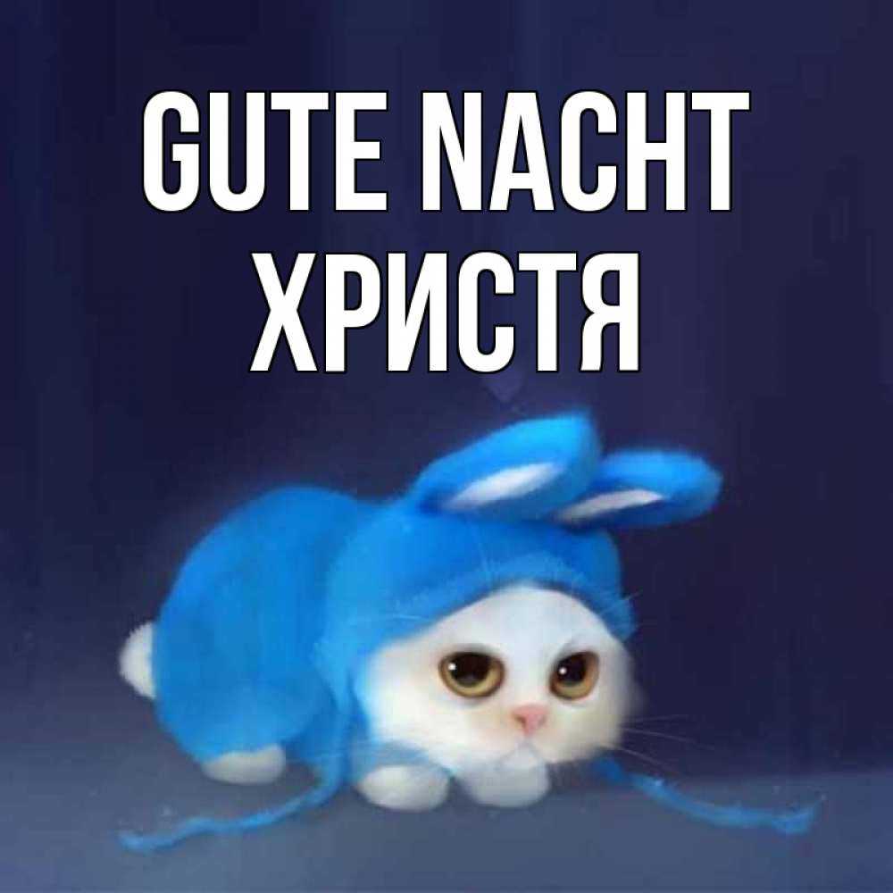 Открытка на каждый день с именем, Христя Gute Nacht кот в голубом костюме кролика с ушками Прикольная открытка с пожеланием онлайн скачать бесплатно 