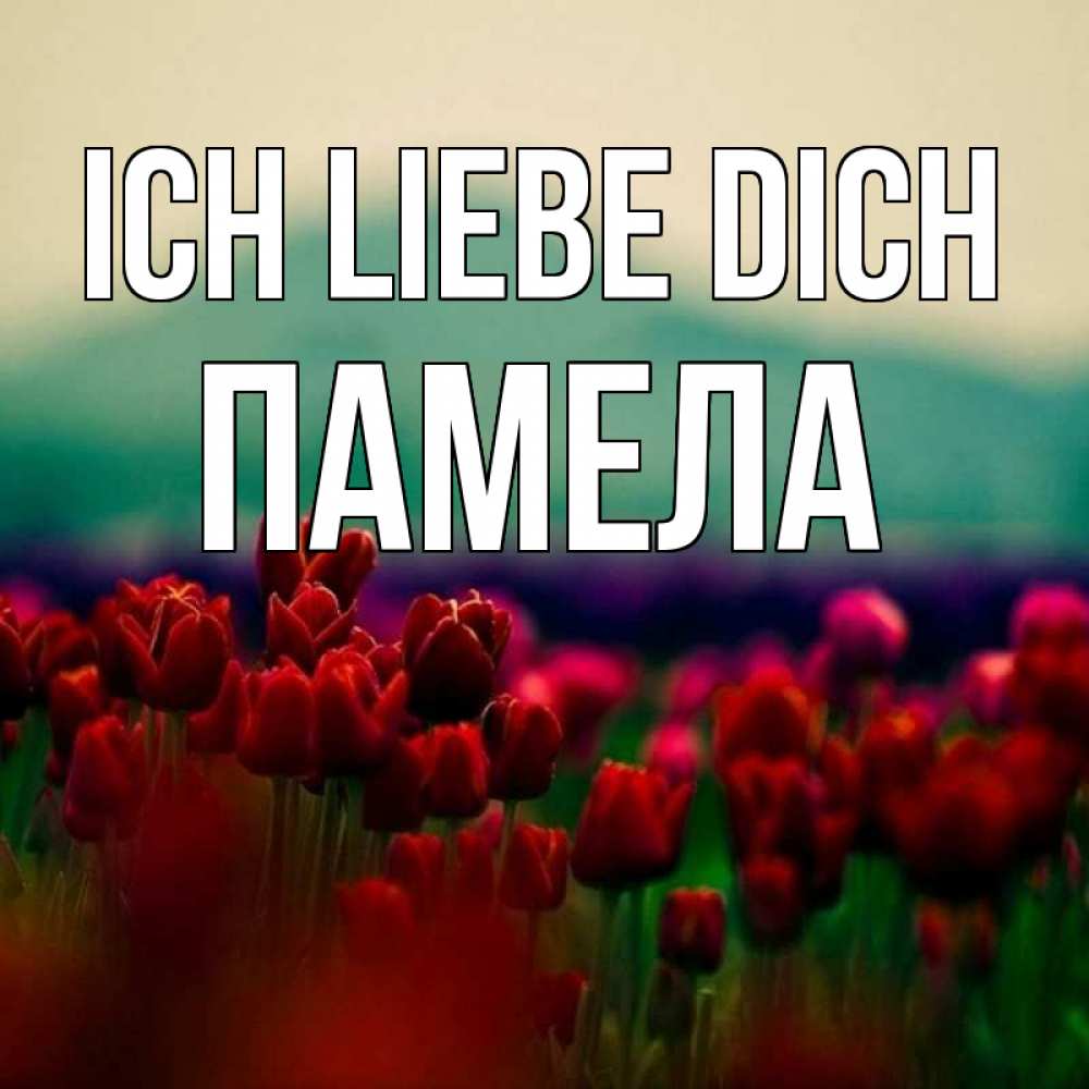 Открытка на каждый день с именем, Памела Ich liebe dich тюльпаны 4 Прикольная открытка с пожеланием онлайн скачать бесплатно 